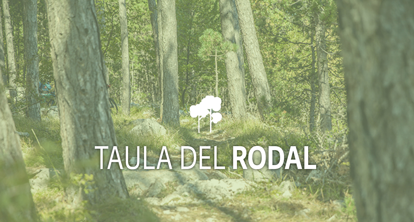 Imagen para los medios: Taula del rodal